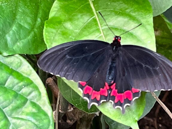 23-09-09 11-06-02 6507